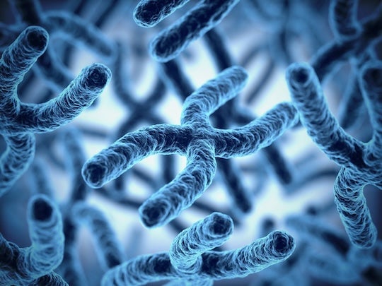 stock chromosome photo