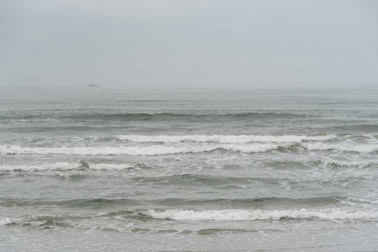 The Gulf of Mexico