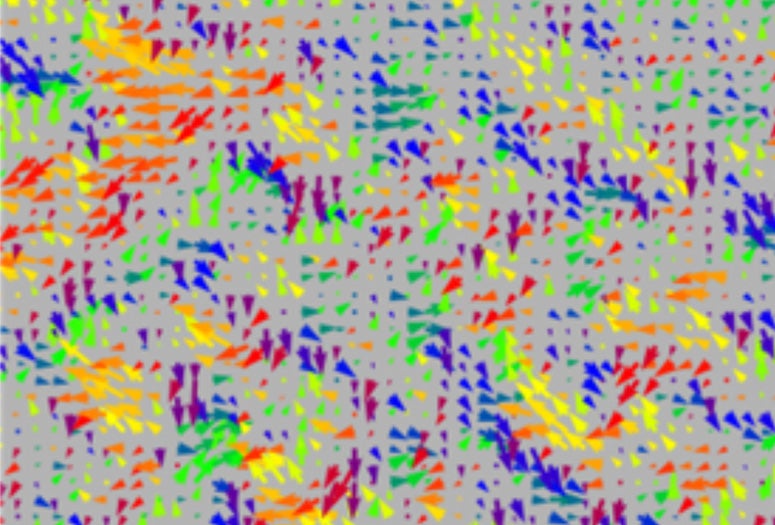 vector field
