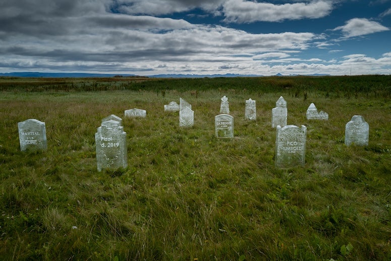 Glacier graveyard image