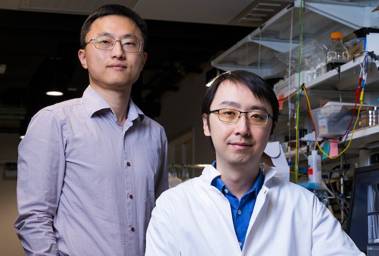 researchers 