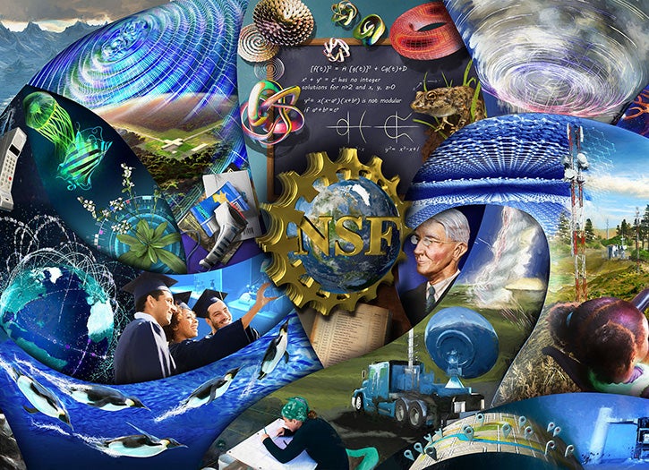 NSF history wall