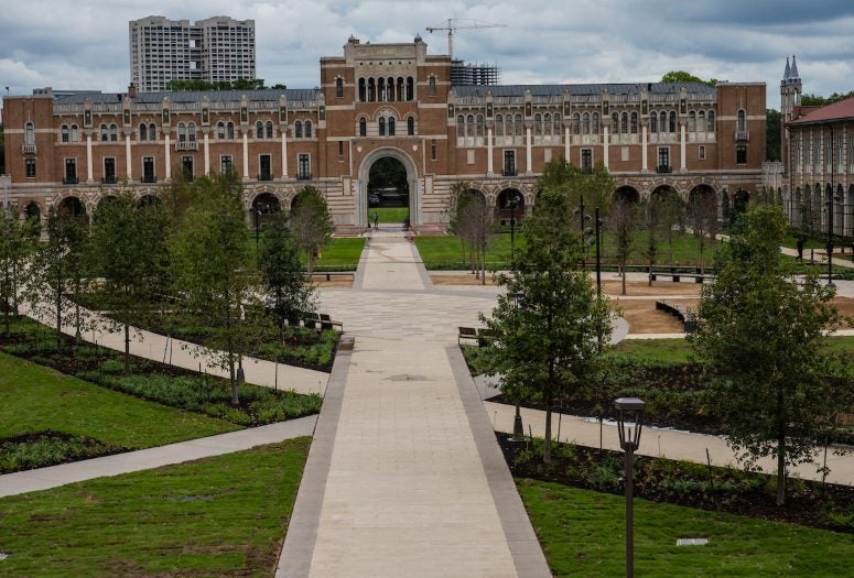 Academic Quad reopening with lush foilage