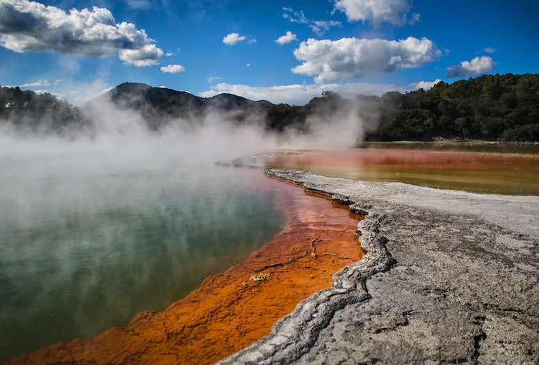 Geothermal brine environment