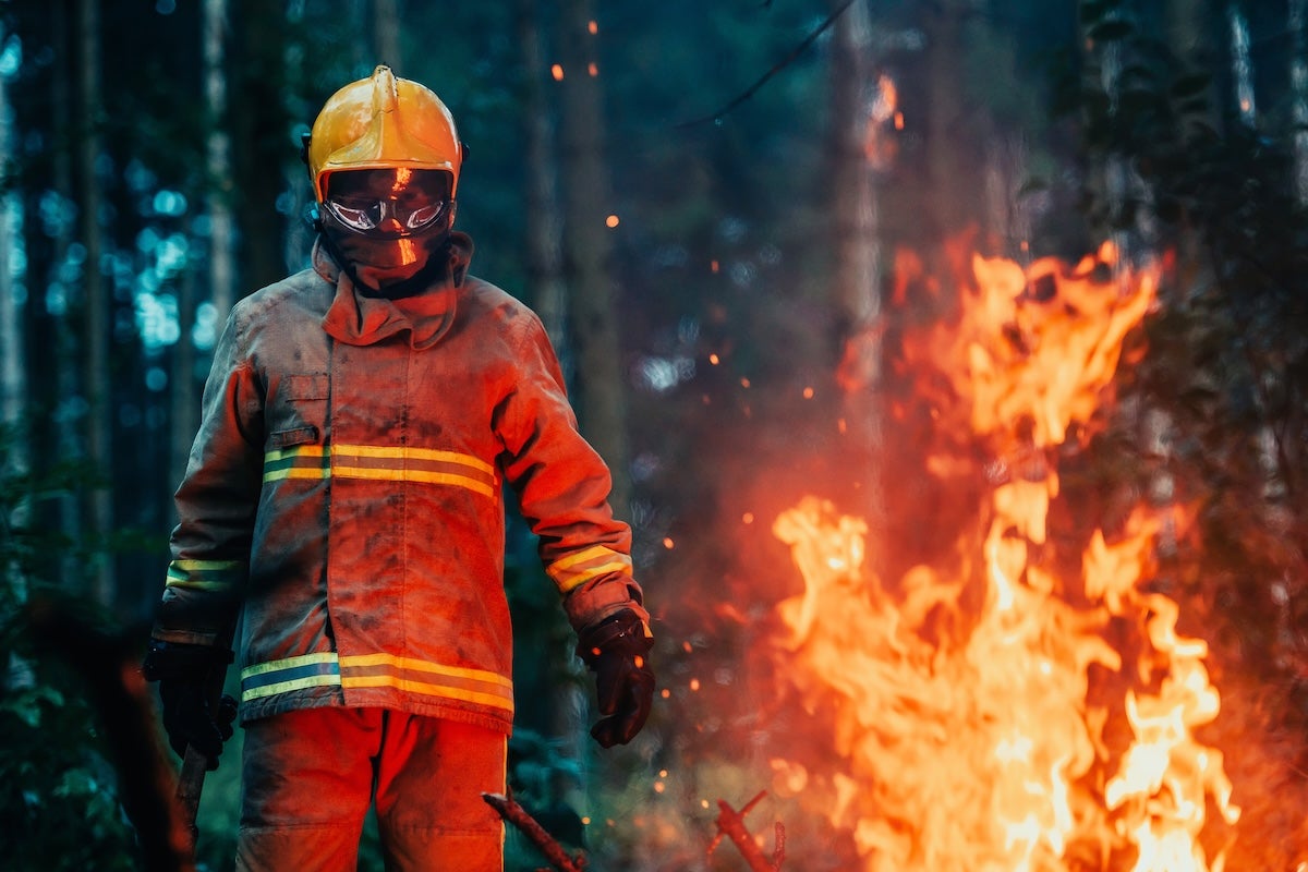 wildfires 