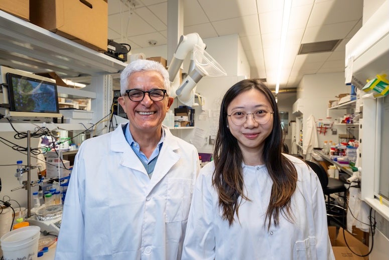 research team