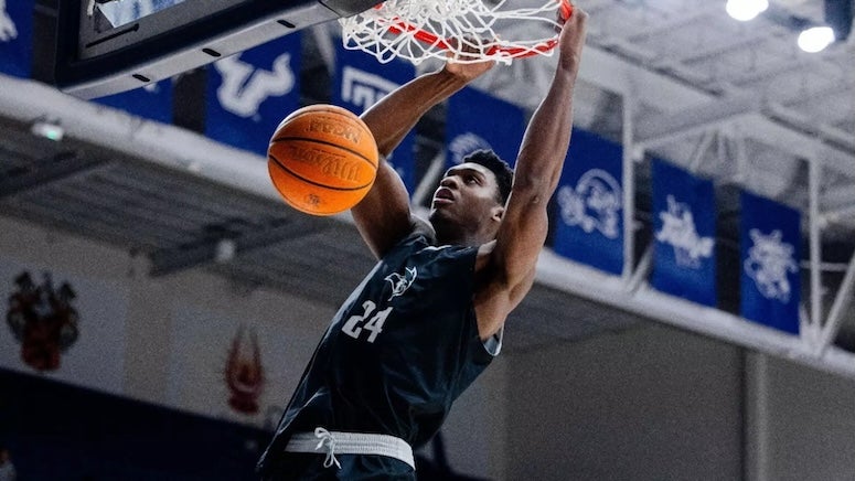 Men's basketball 2024-25