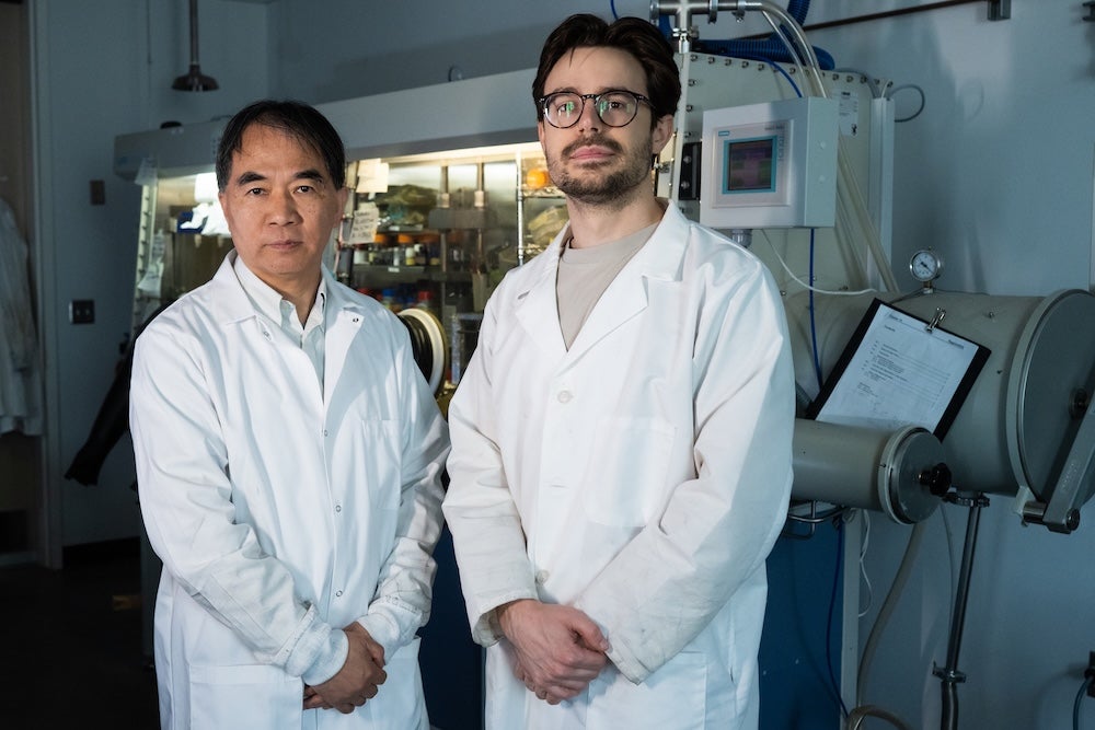 Pengcheng Dai and Mason Klemm