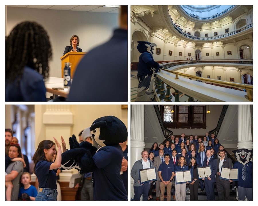 Rice Day at the Capitol 2