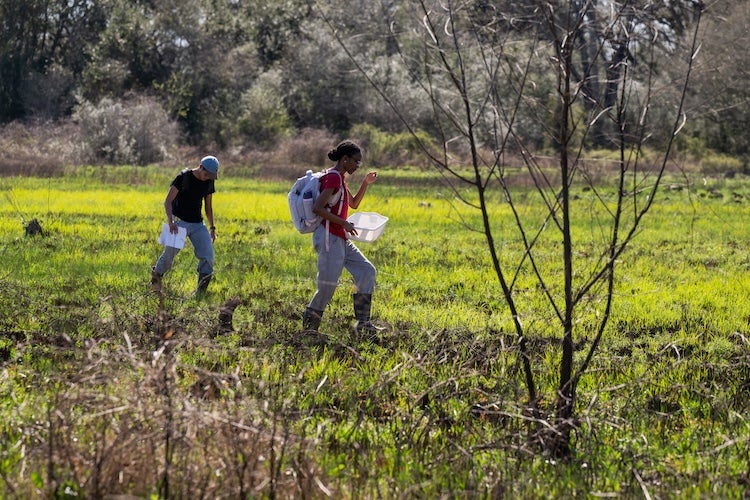 Students at Brazos Bend State Park
