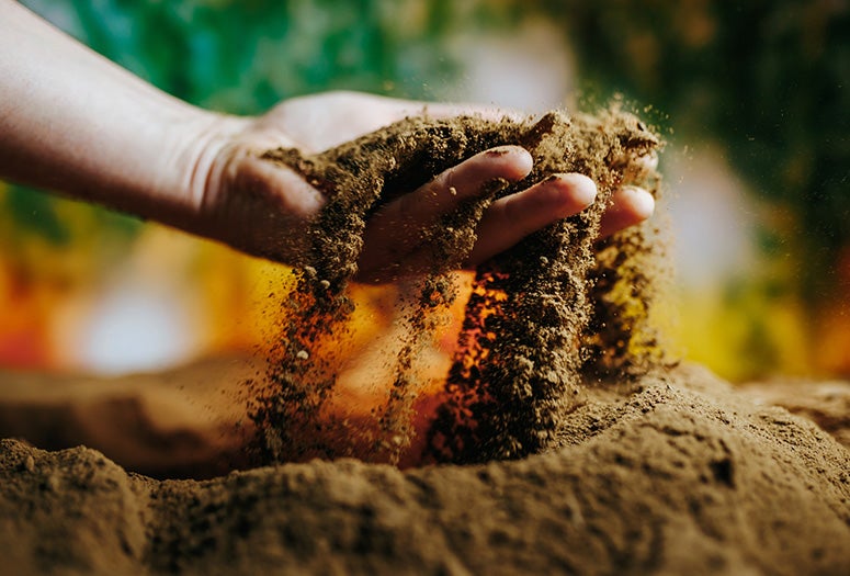 soil stock