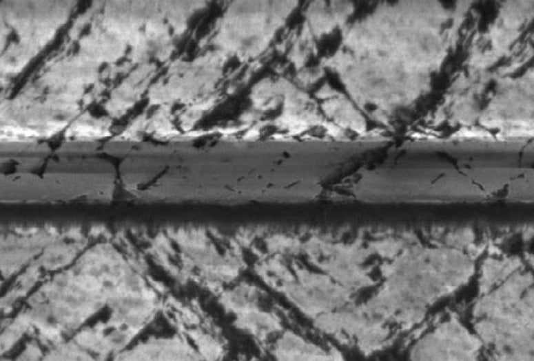 SEM image
