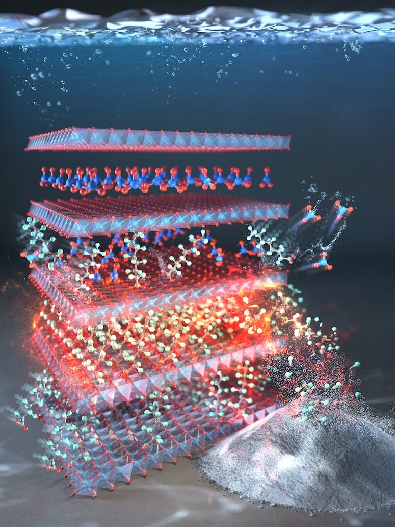 Journal cover image