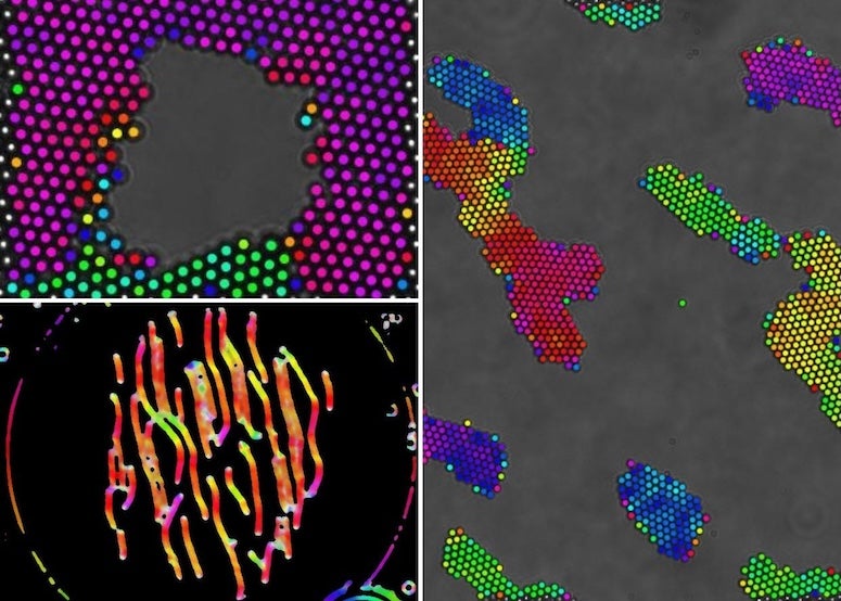Renderings of micron-scale magnetic colloidal particles