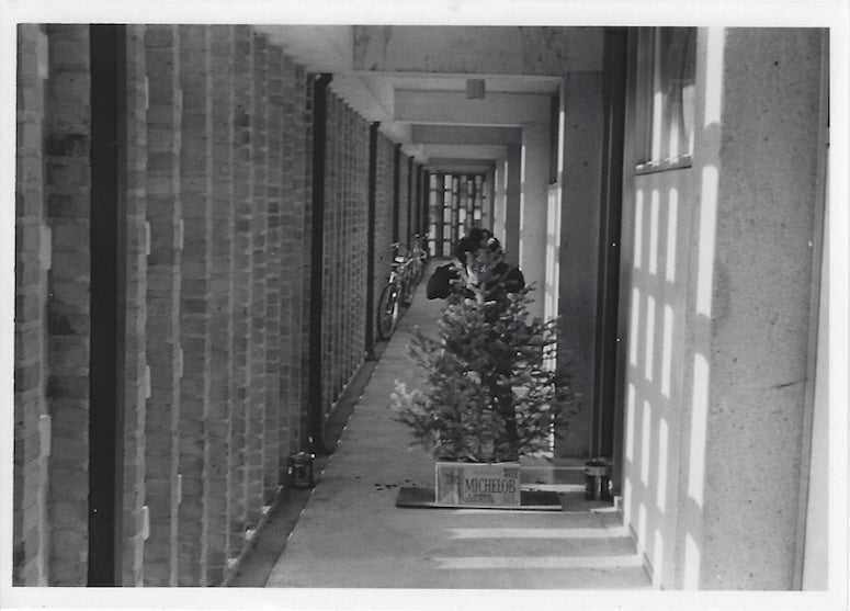 Lovett party tree 1975