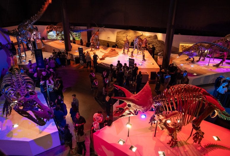 Night at the Museum 2026