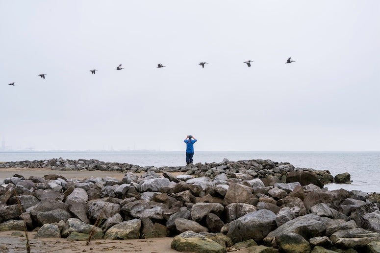Jim Blackburn, a man in a blue shirt, stands on rocks and looks through binoculars on the Texas coastline 