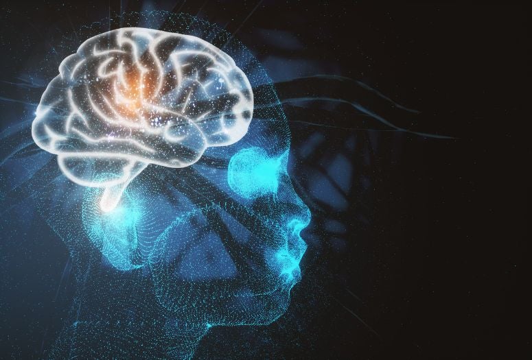 rendering of the brain