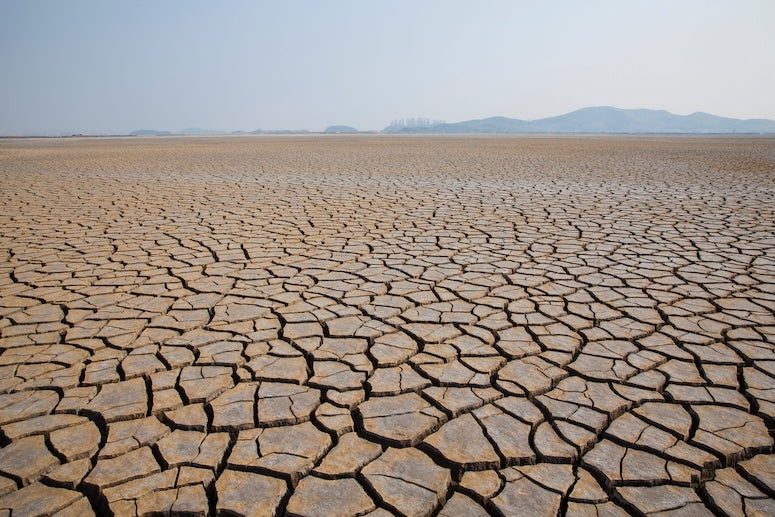 A stock image of cracked ground from a drought. 