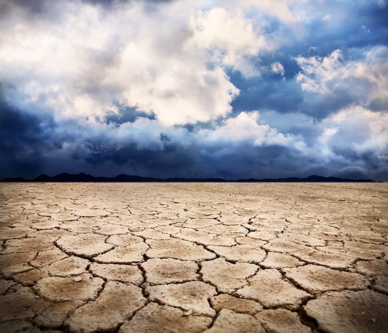 A cracked, dry ground under a cloudy sky. 