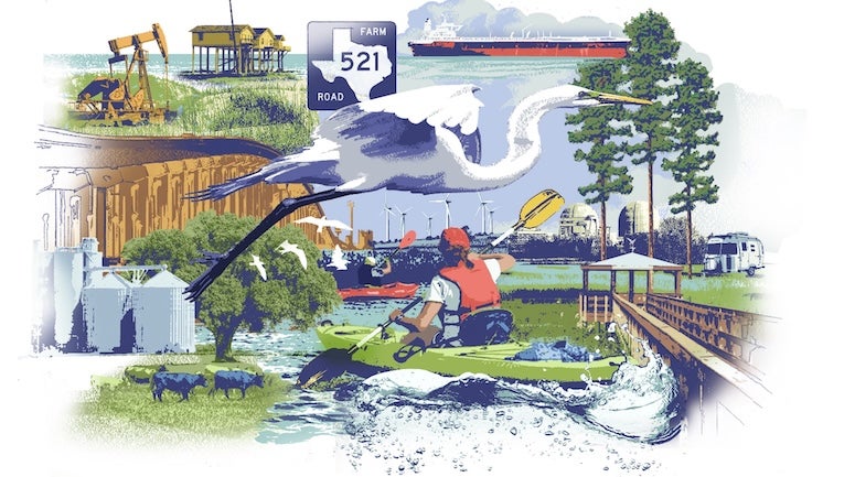 A collage depicting birding, kayaking and other coastal area recreation