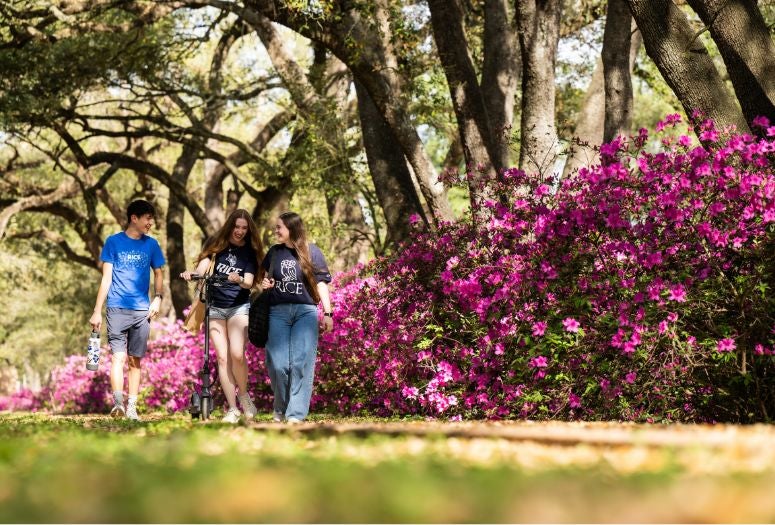 three students walking in front of azaleas