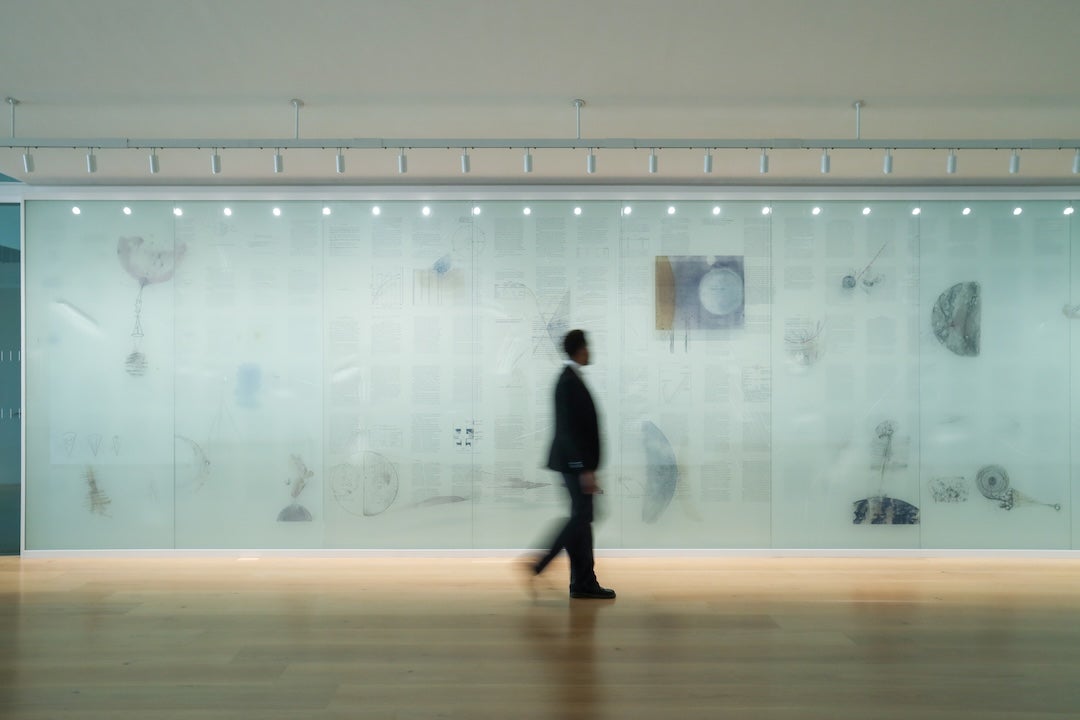 Installation view of Wall Drawing Redux_ 119, 2026 at the Menil Drawing Institute, Houston. Photo_ Chris Dunn 