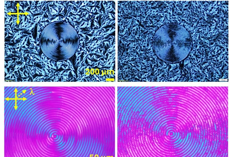 Similarities in molecular organization between parent liquid crystal and daughter crystal phases are apparent under different optical imaging techniques. 