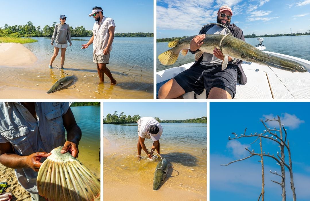 collage of fishing trip for gar