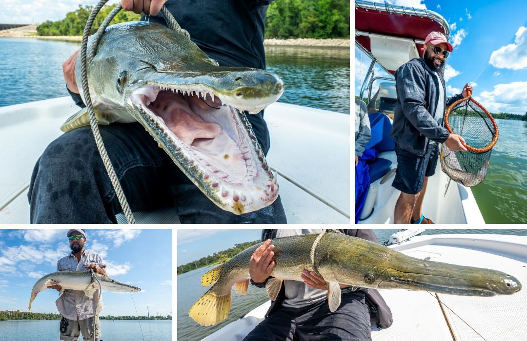 collage of fish trip for gar