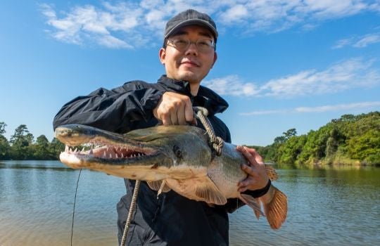 gar