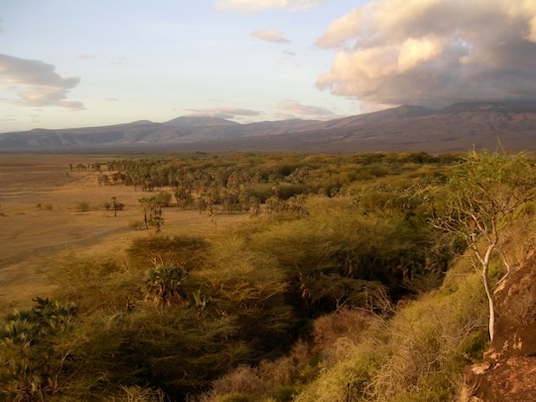 People buried at Gishimangeda Cave near Lake Eyasi (pictured) in Tanzania provided evidence of later herders’ more specialized diets Credit/ Mary Prendergast.jpg
