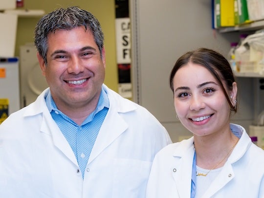 researchers