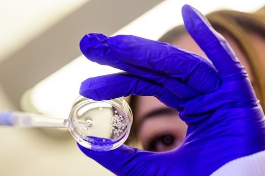 researcher with gloved hand holds petrie dish with white particles in it