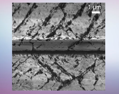 SEM image
