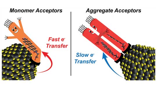 figure depicting ligand-ligand interactions