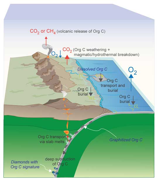 Schematic depiction of the burial and deep subduction of organic carbon