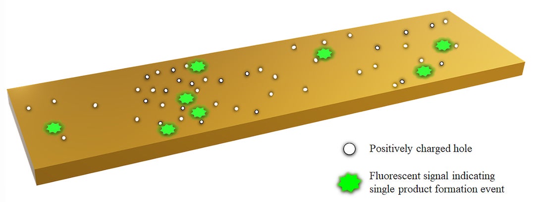Positively charged holes that propagate at catalytic sites can spread out and trigger catalysis in neighboring sectors.