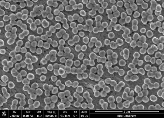 electron microscope image of nanoparticles dotting surface of a silver electrode