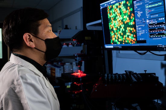 Rice University postdoctoral researcher Seokju Seo views fluorescent microdroplets containing competing bacterial strains in an experiment to learn how they evolve resistance to antibiotic drugs. 