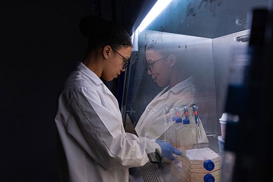 Rice University bioengineering graduate student Amanda Nash working in the Veiseh Lab in January 2022