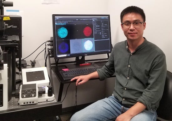 Rice postdoctoral researcher Lizhong Liu is lead author of a study that details the mechanism by which a protein known as Lefty pumps the brakes as human embryos begin to differentiate into bones, soft tissues and organs. (Credit: Warmflash Lab/Rice University)