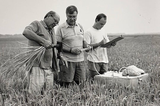 From left, Rice professors Frank Fisher and Ron Sass and graduate student Peter Adams measuring methane production in a rice field near Beaumont, Texas, in 1990. (Photo courtesy of Woodson Research Center/Rice University)