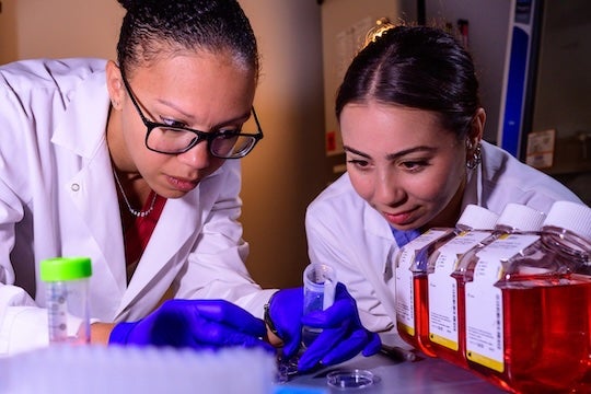 two researchers in lab coats examine contents of petrie dish