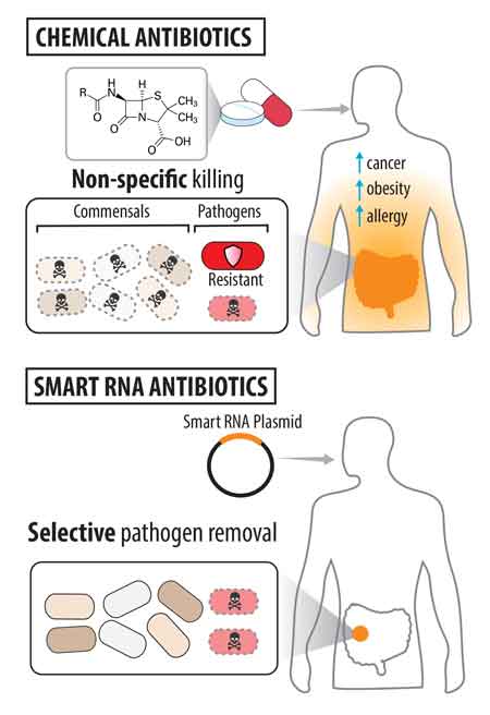 illustration of advantages of smart RNA antibiotics