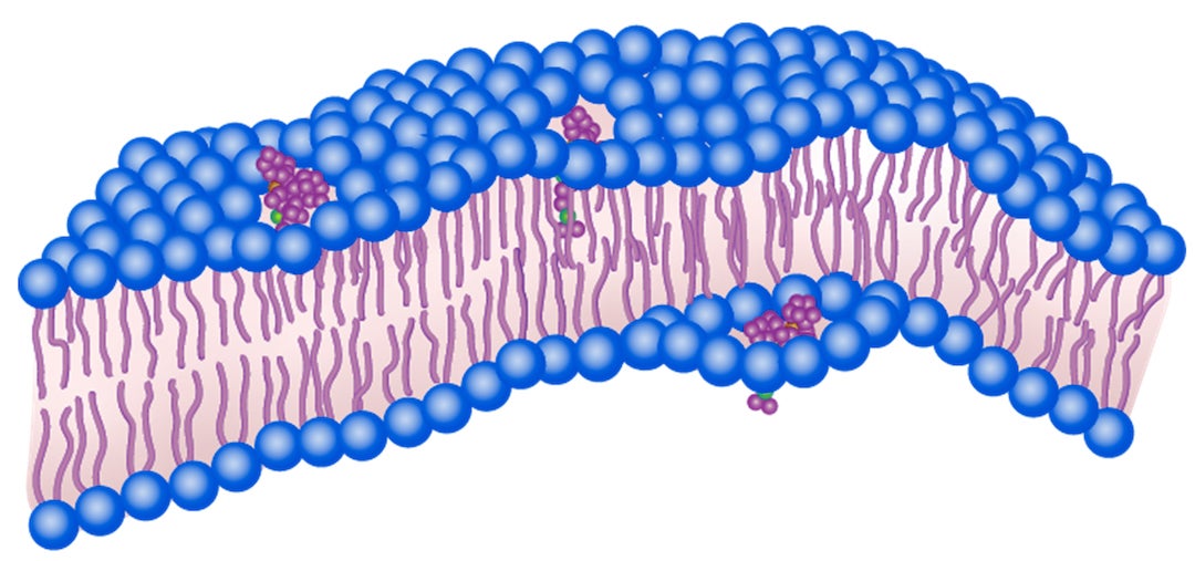 Artist's impression of molecular machines attacking the membranes of infectious bacteria