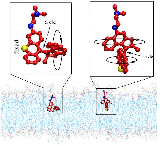 two variants of light-activated molecular machines