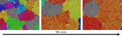 In a Rice University study, a polycrystalline material spinning in a magnetic field reconfigures as grain boundaries appear and disappear due to circulation at the interface of the voids. The various colors identify the crystal orientation. (Credit: Biswal Research Group/Rice University)
