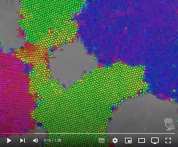 https://youtu.be/nOjAw9NNQzo Rice University engineers mimicked atom-scale grain boundaries with magnetic particles to see how shear stress influenced their movement. The video shows new grain boundaries forming due to shear at the interface between crystals and voids, following misorientation angle and energy predictions made more than 70 years ago. The colors indicate the orientation of the crystals. (Credit: Biswal Research Group/Rice University)