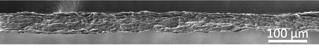 A robust fiber of boron nitride nanotubes as seen under a scanning electron microscope. The heat-tolerant fibers developed at Rice University could be useful for aerospace and electronics applications and as energy-efficient materials. (Credit: Pasquali Research Group